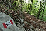 88 Sentiero ben tracciato e bollato 